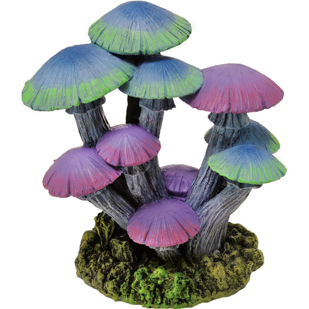 Exotic Environments Mushroom Garden (GLOW, XS)
