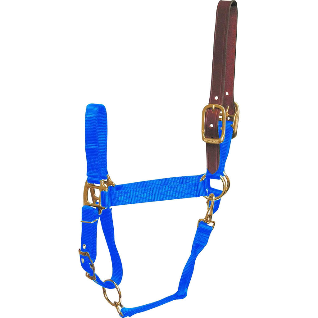 Hamilton Adjustable Halter W/Leather Headpole (BLUE, SM)