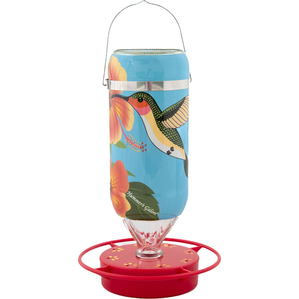 Hummer'S Galore Hibiscus Hummingbird Feeder (BLUE, 16 OZ)