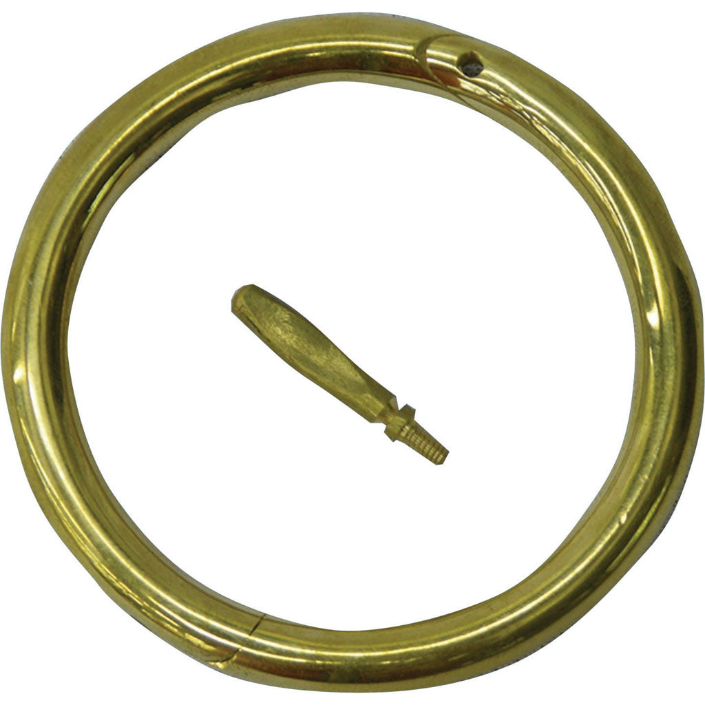 Brass Bull Ring (BRASS, 3 IN)