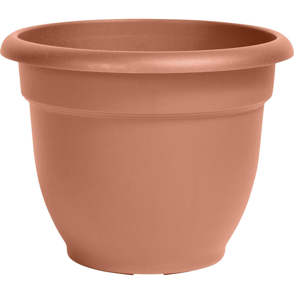 Bloem Ariana Planter (TERRACOTTA, 6 IN)