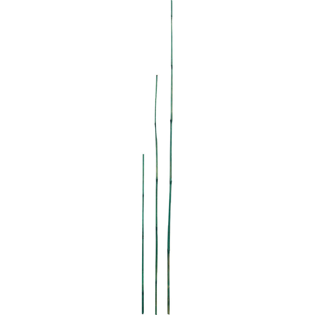 D&D Garden Packaged Bamboo Stakes (GREEN, 5 FT-6 PK)