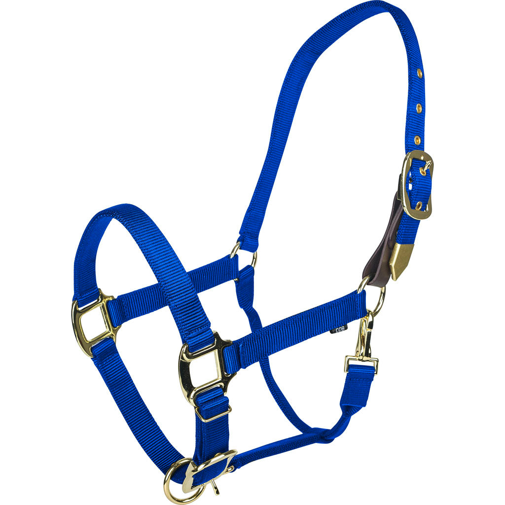 Gatsby Gold Adjustable Safety Breakaway Halter (BLUE, PONY)
