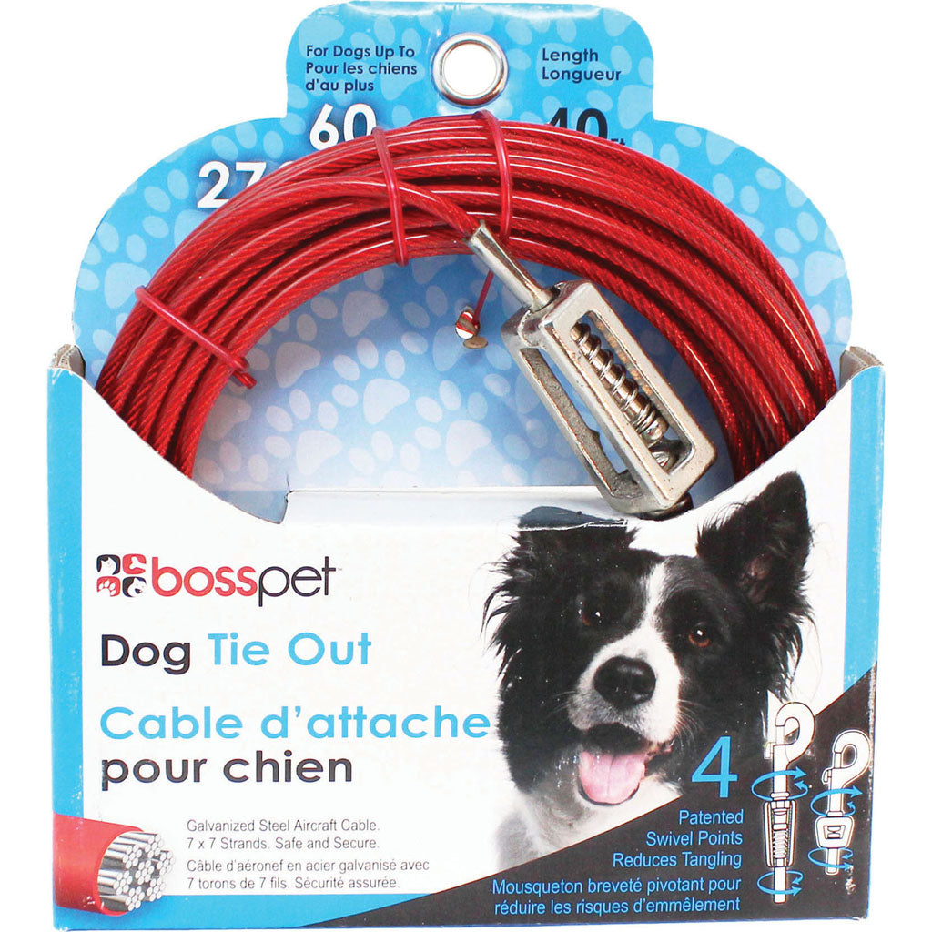 Boss Pet Tie-Out W/ Spring (40 FT)