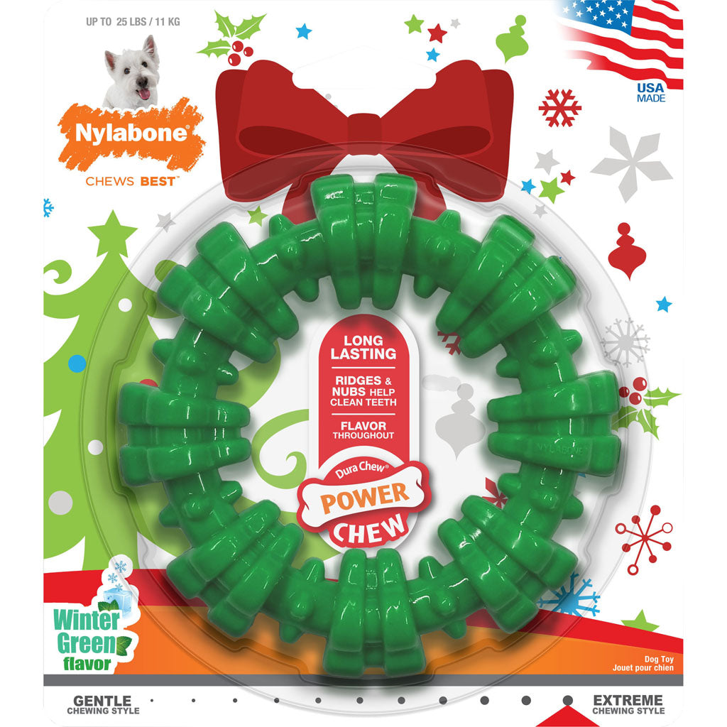 Nylabone Holiday Power Chew Textur Out-Season 0228 (WINTERGREEN, REGULAR)