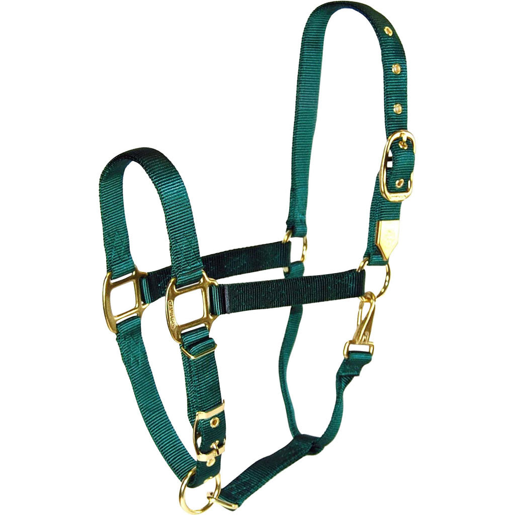 Hamilton Adjustable Chin Halter W/Snap (HUNTER GREEN, AVG)
