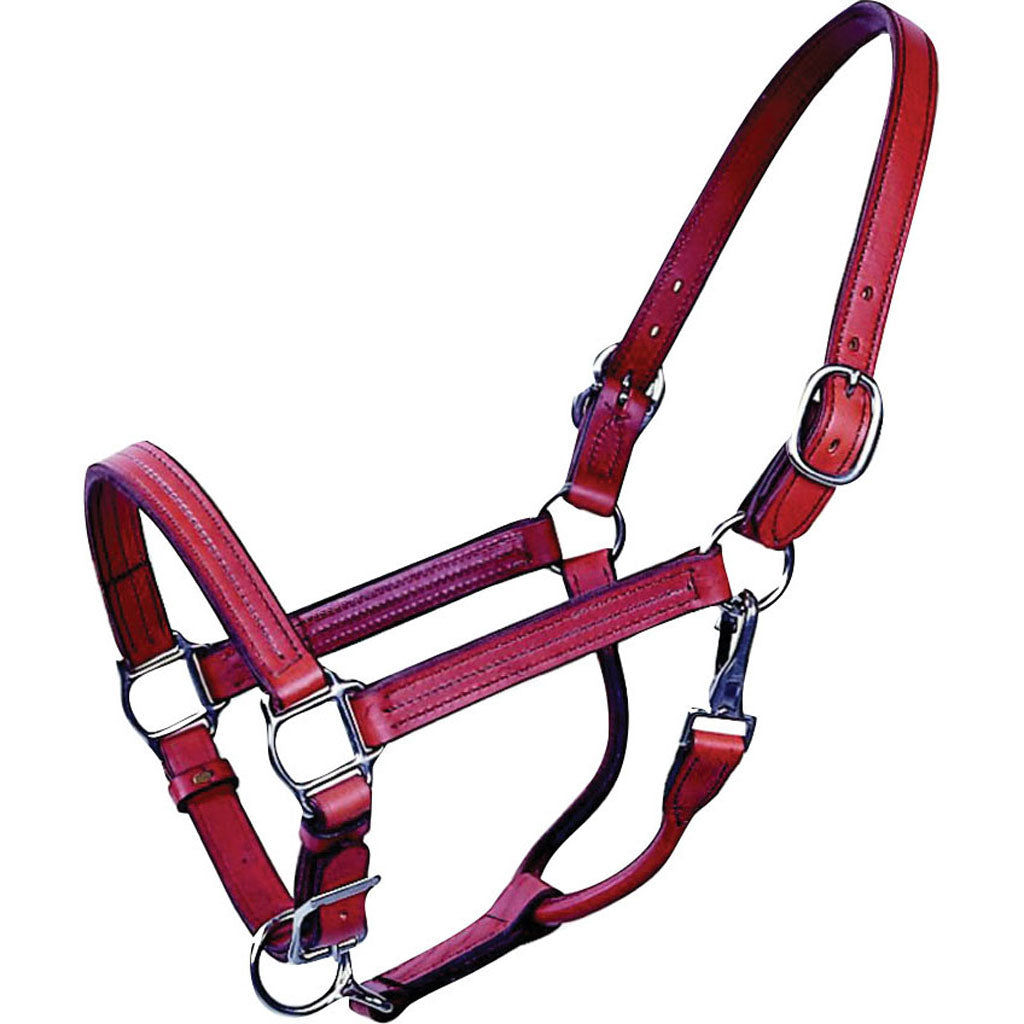 Beiler'S Track Halter (BROWN, COB)
