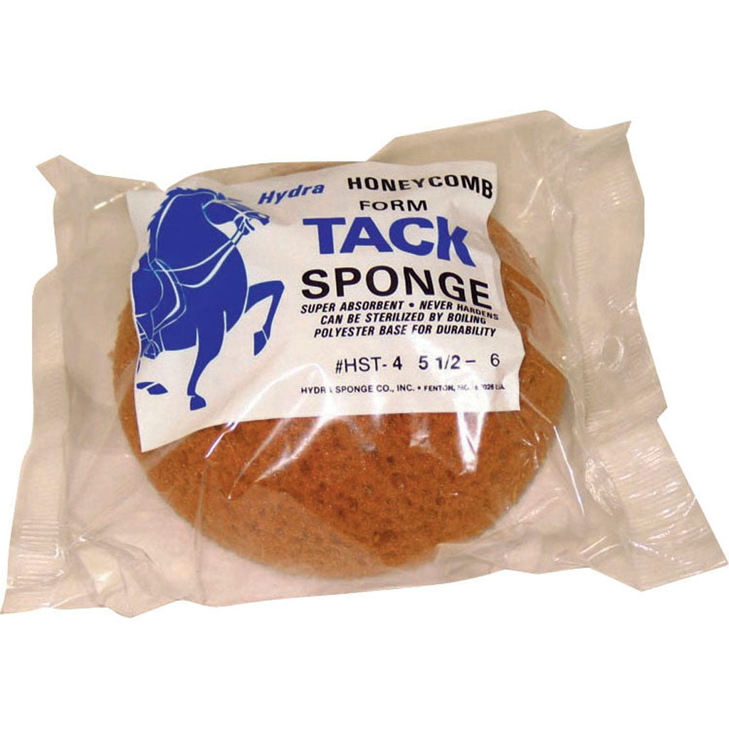 Hydra Honeycomb Form Tack Sponge (5.5-6 IN)