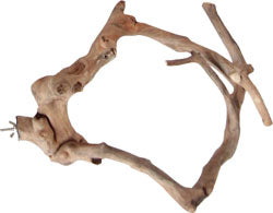 Java Wood Multi-Branch Perch (XS)