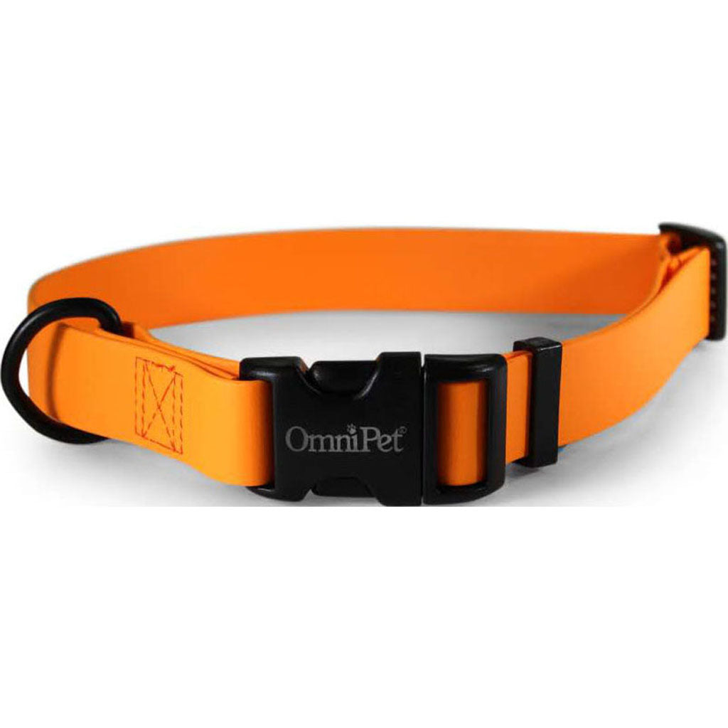 Carnival Biothane Dog Collar (ORANGE, 3/4 X 14 X 20 I)