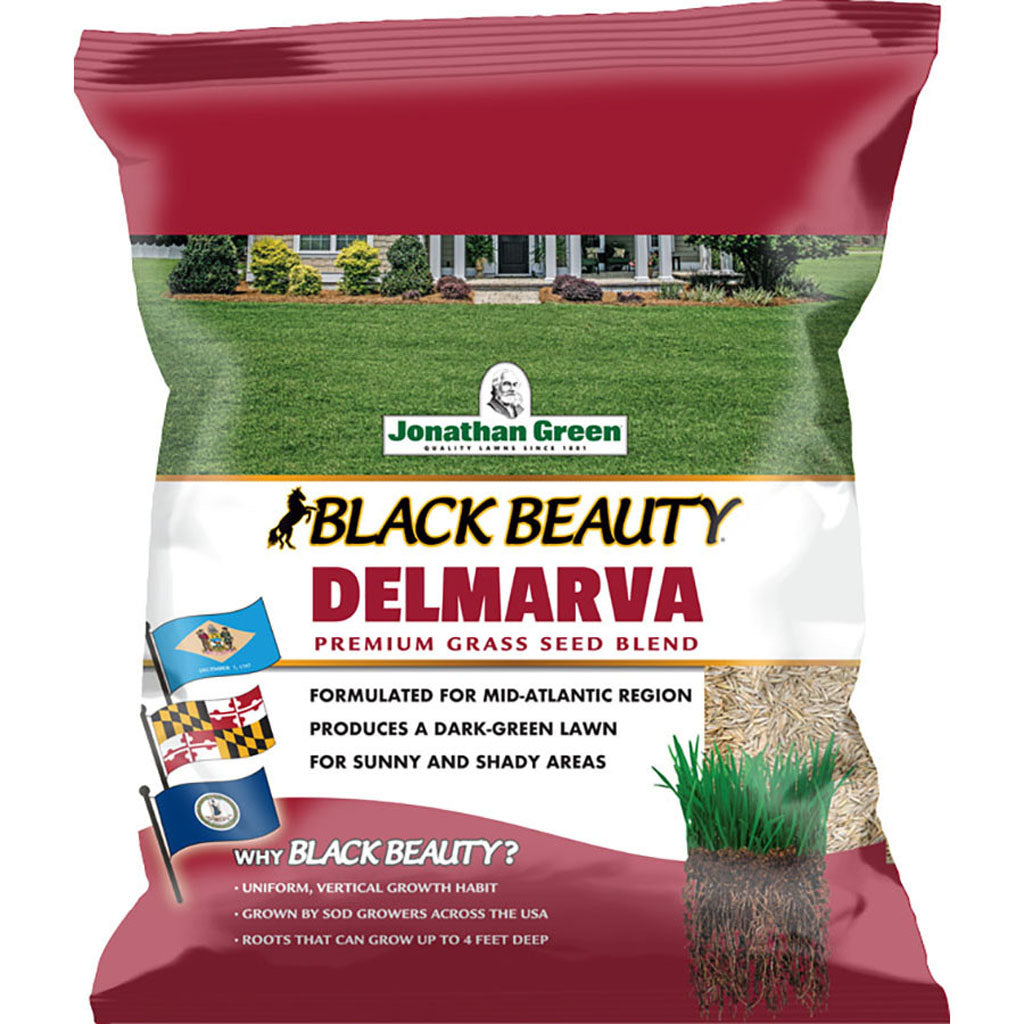 Black Beauty Delmarva Grass Seed Mixture (7 LB)