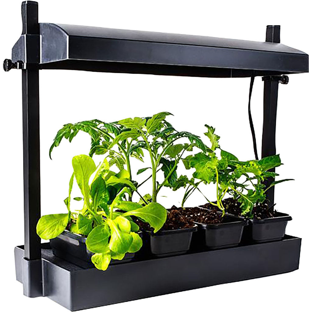 Sunblaster Micro Sized Led Growlight Garden Kit (BLACK)
