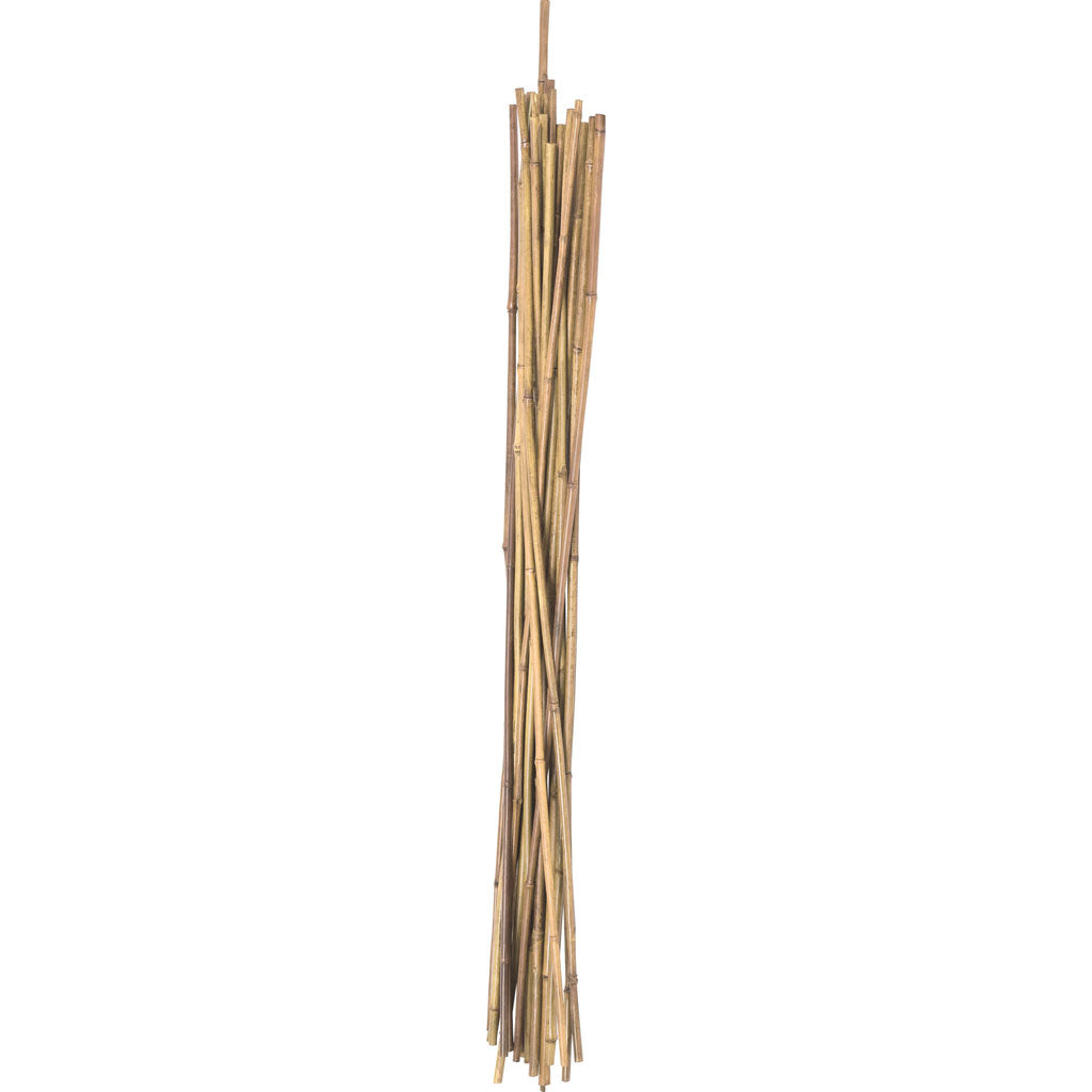 Natural Packaged Bamboo Stakes (4 FT-12 PK)
