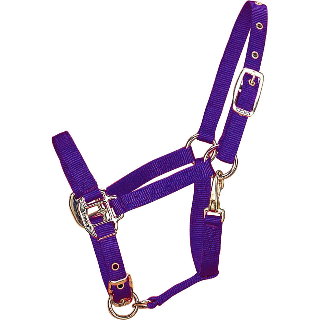 Hamilton Adjustable Chin Halter W/Snap (PURPLE, PONY)