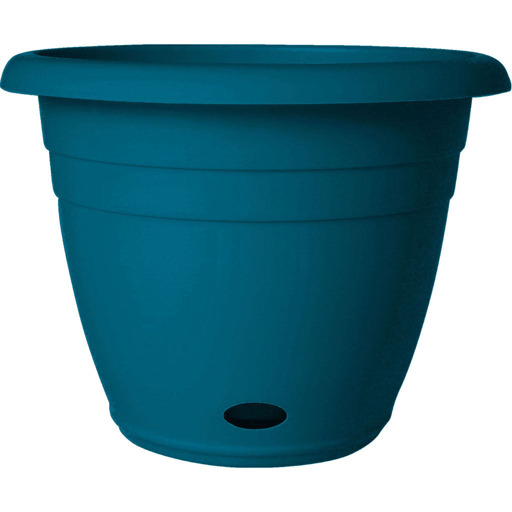 Southern Patio Jackson Self-Watering Planter (TEAL, 6.5 IN)