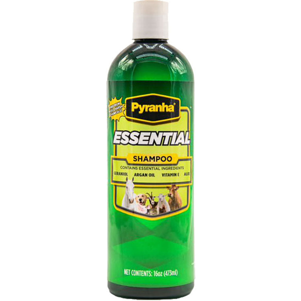 Pyranha Essential Shampoo (16 OZ)