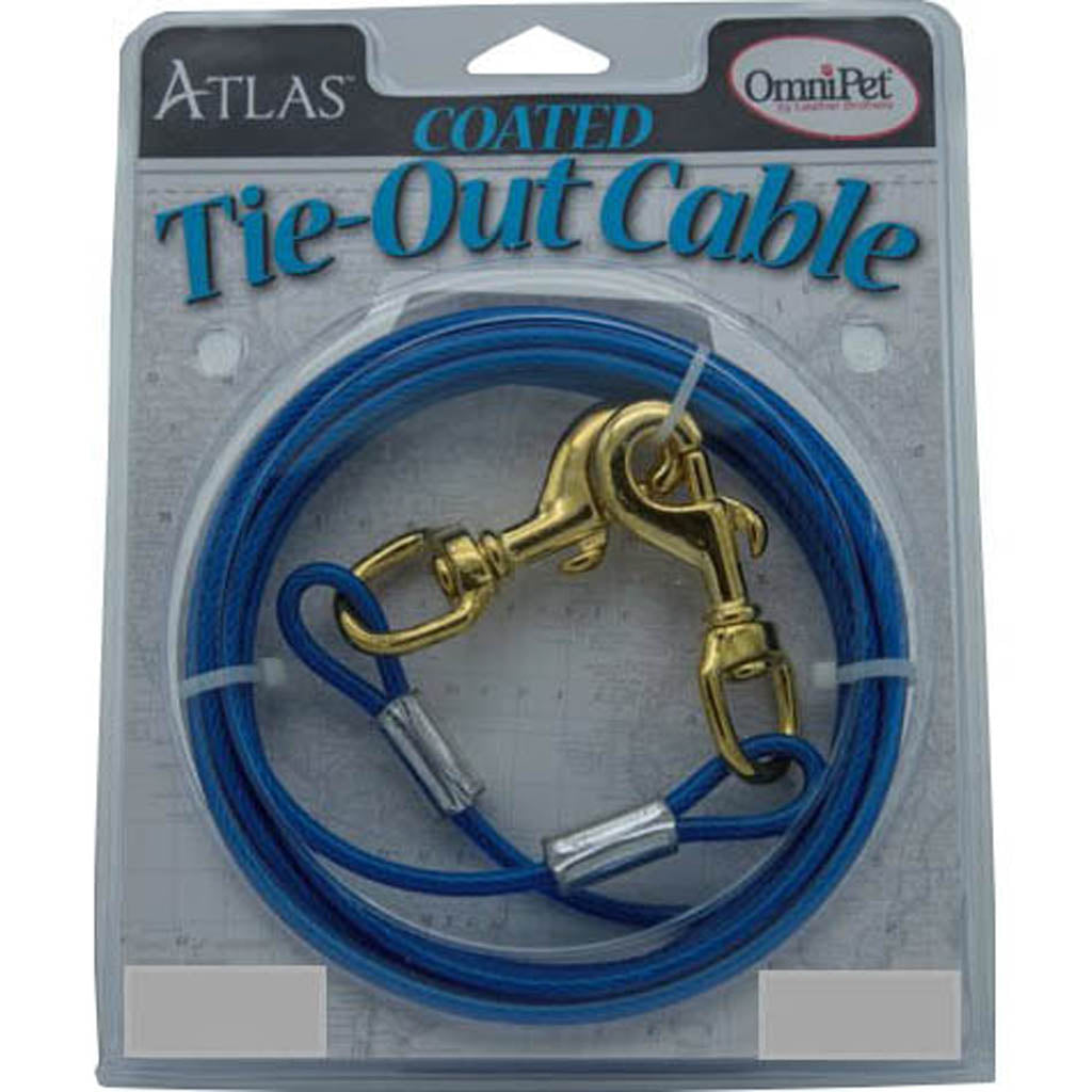 Cable Tie-Out (10 FT)