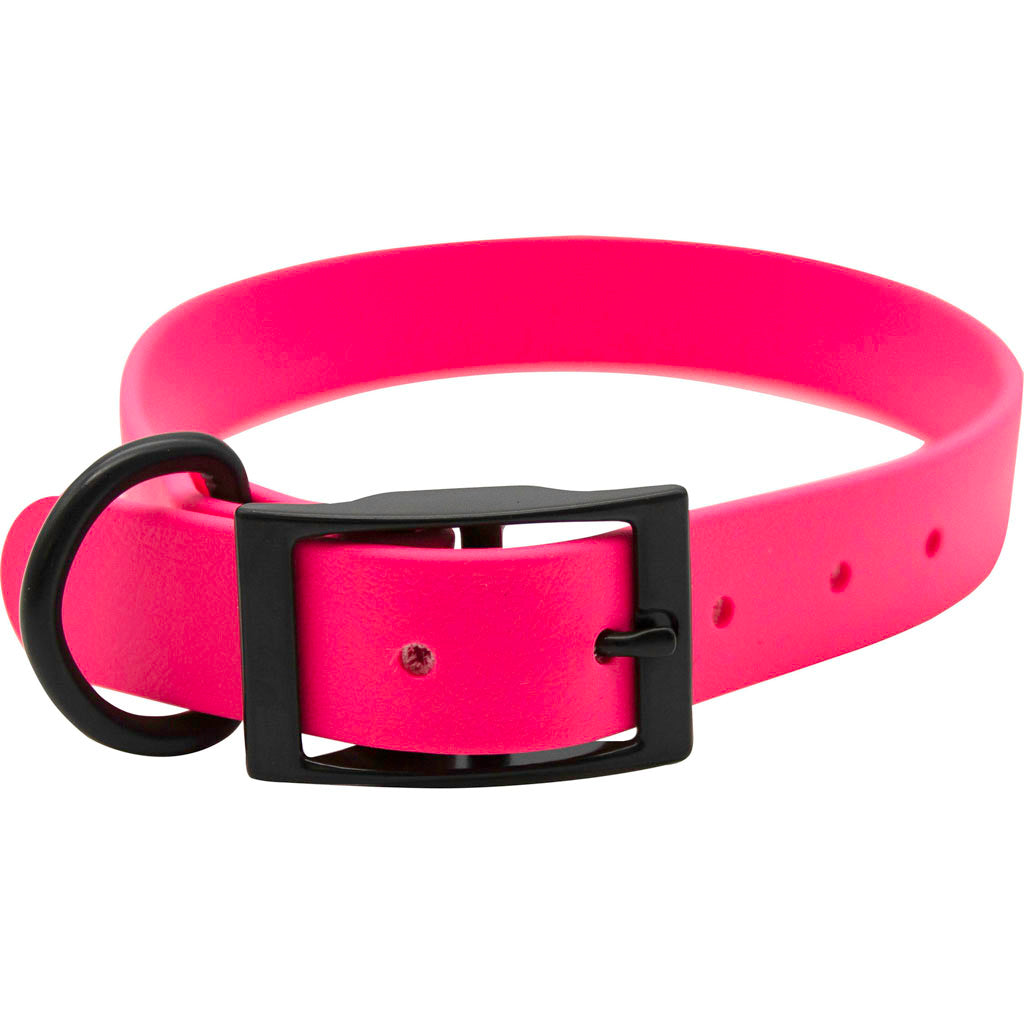 Zeta Biothane Dog Collar W/ Blk Hardware (RUBY, 3/4 X 16 IN)