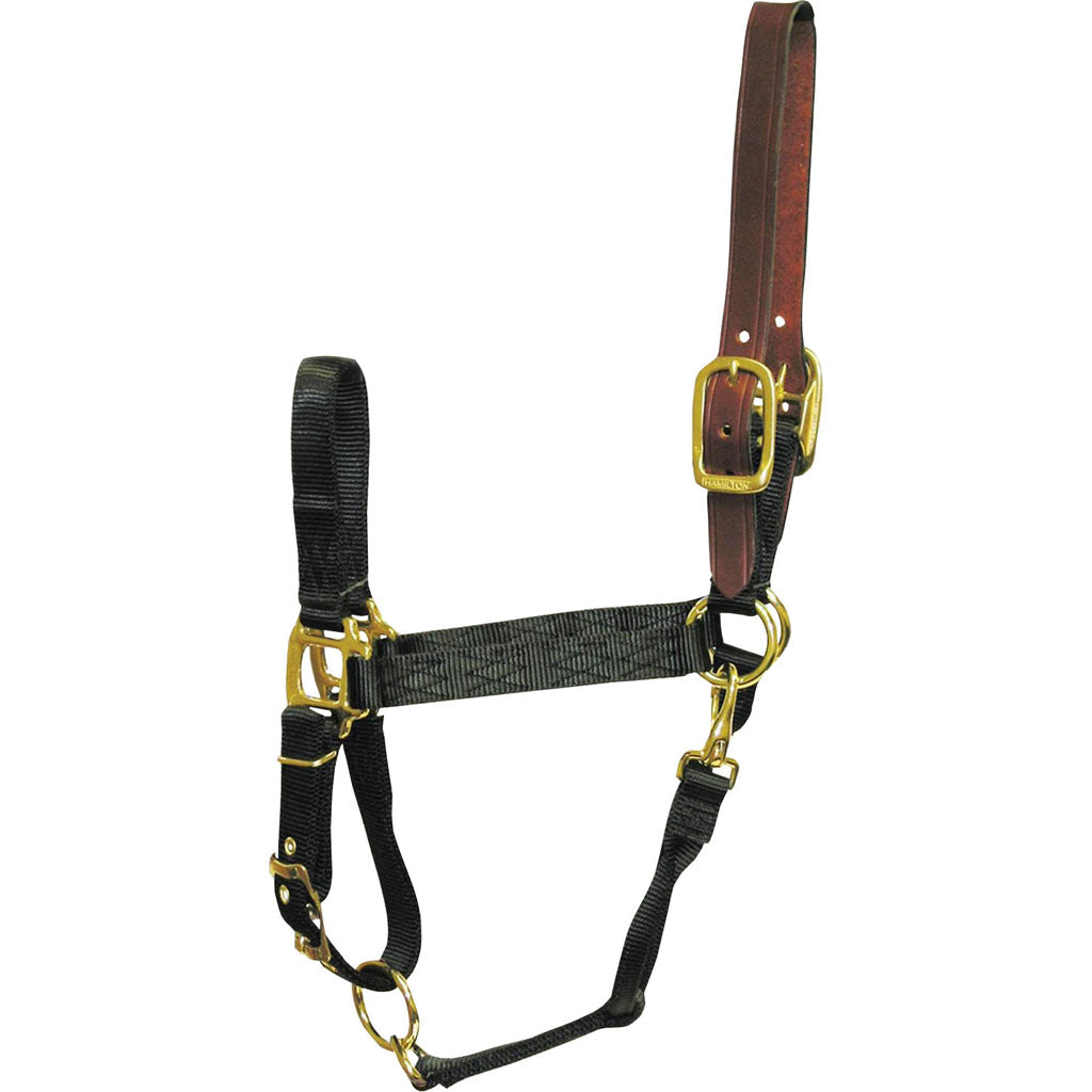 Hamilton Adjustable Halter W/Leather Headpole (BLACK, LG)