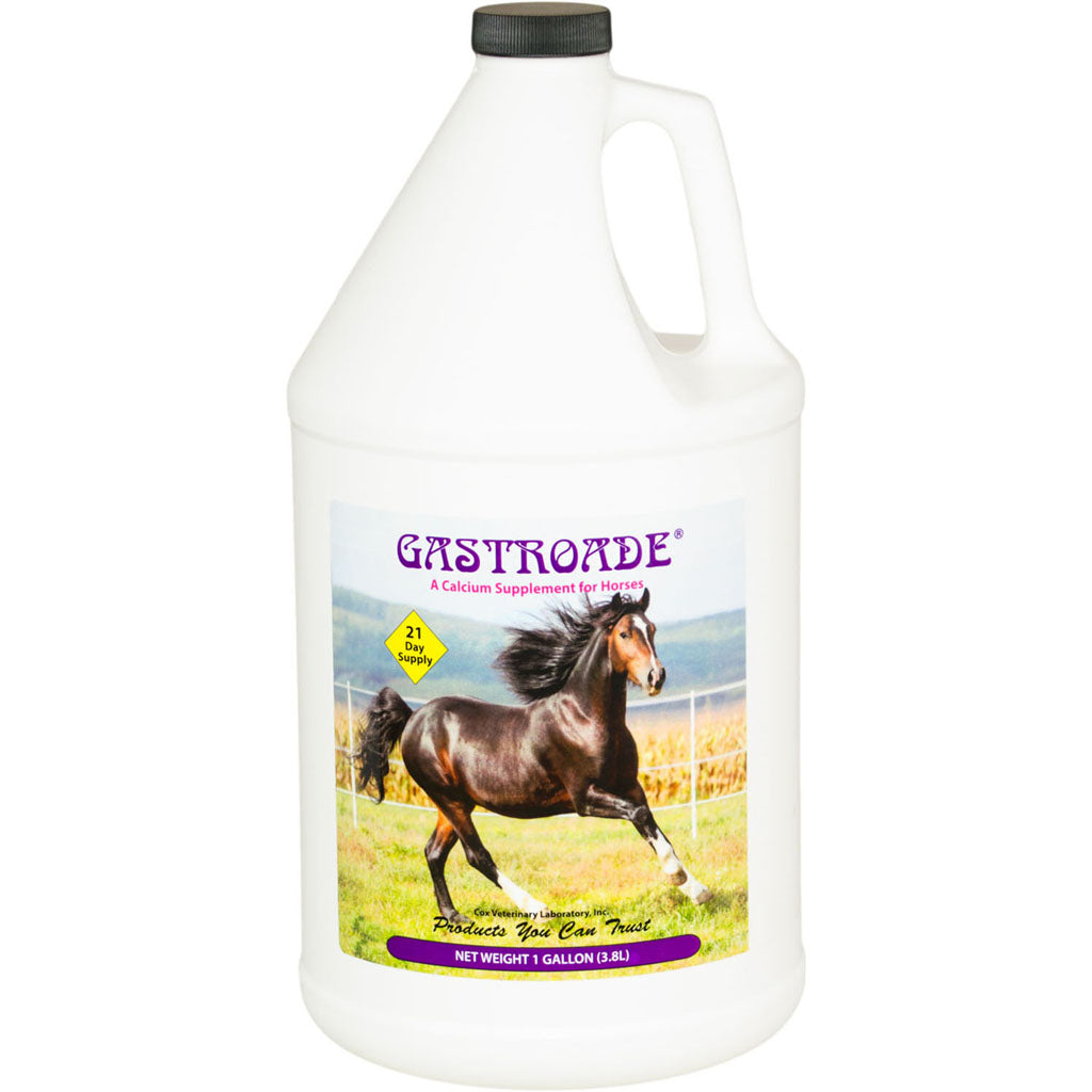 Cox Gastroade Calcium Supplement (CHERRY, 1 GAL)