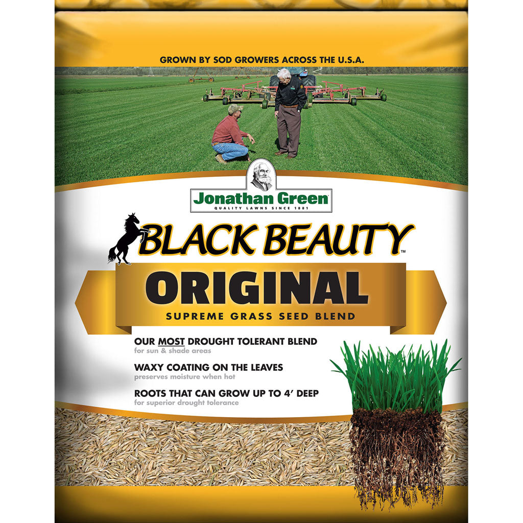 Black Beauty Tall Fescue Grass Seed Mixture (15000 SQ FT-50)