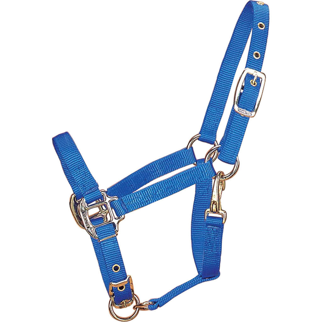 Hamilton Adjustable Chin Halter W/Snap (BLUE, PONY)