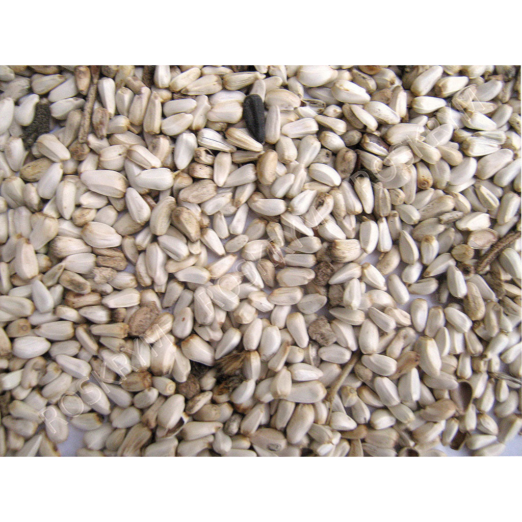 Generic Safflower Seed (25 LB)
