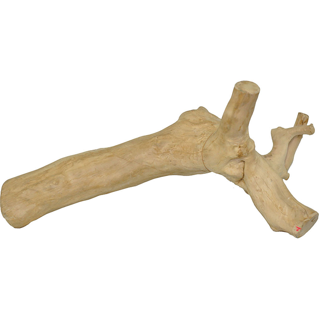 Java Wood Reptile Branch (XL)