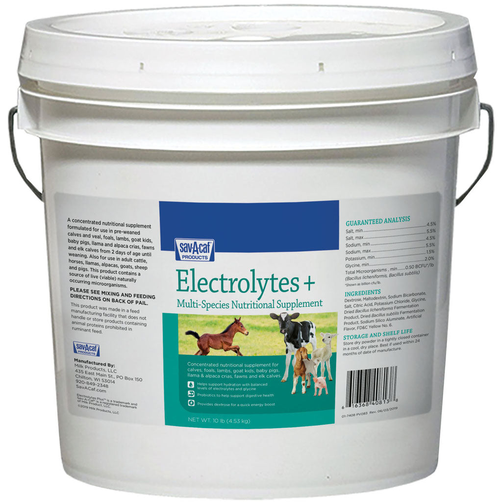 Electrolytes Plus Multi-Species Supplement (10 LB)