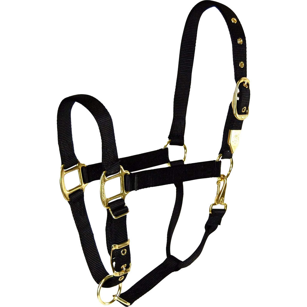 Hamilton Adjustable Chin Halter W/Snap (BLACK, LG)