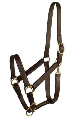 Gatsby Leather Adjustable Turnout Halter (HAVANA, HORSE)