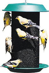 Magnum Plastic Thistle Screen Feeder (GREEN, 5 LB CAP)