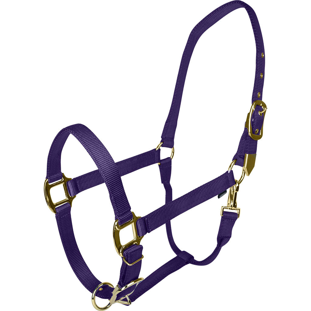 Gatsby Gold Adjustable Halter W/ Snap (PURPLE, COB)