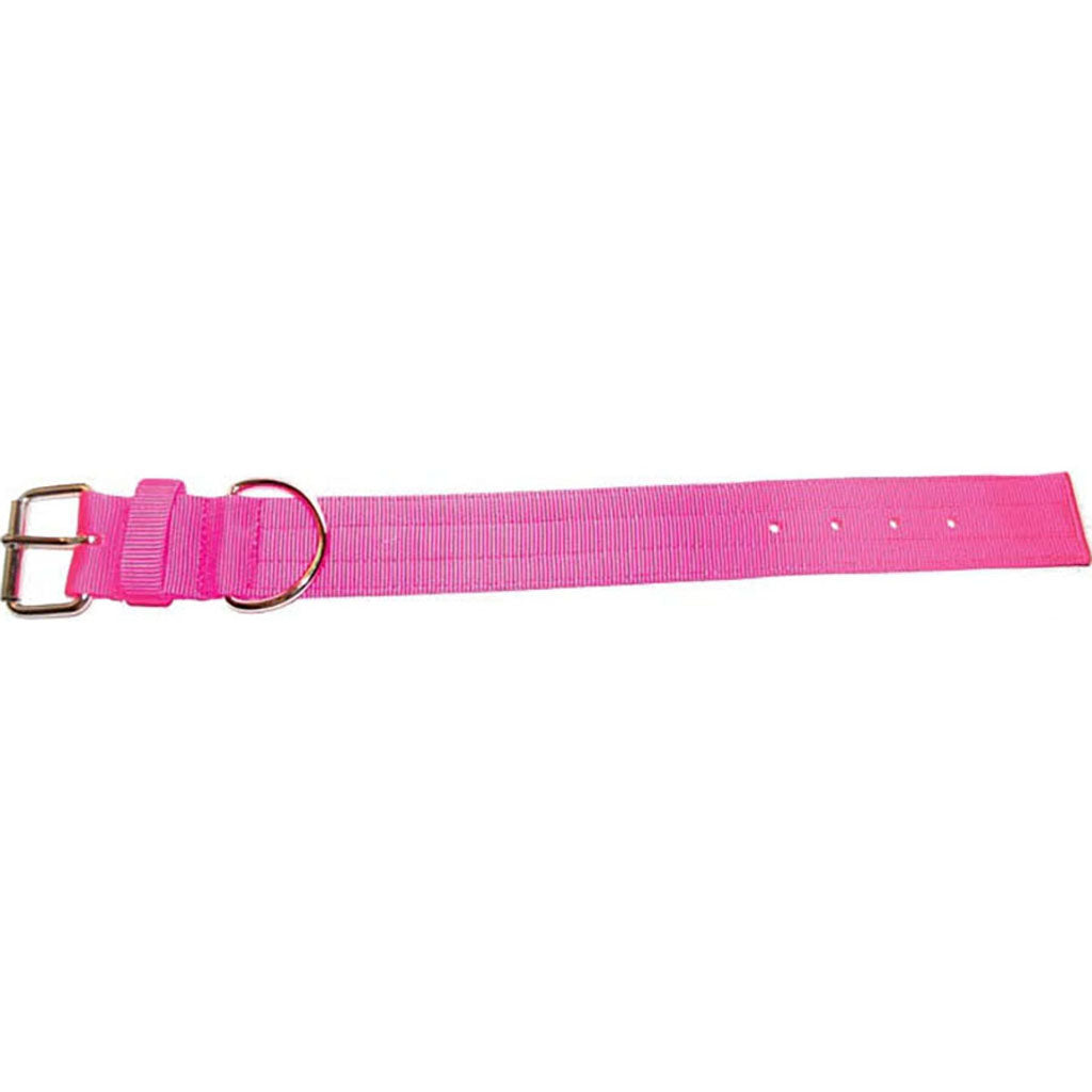 Bravo 2 Ply Nylon Dog Collar (NEON PINK, 2 X 23 IN)