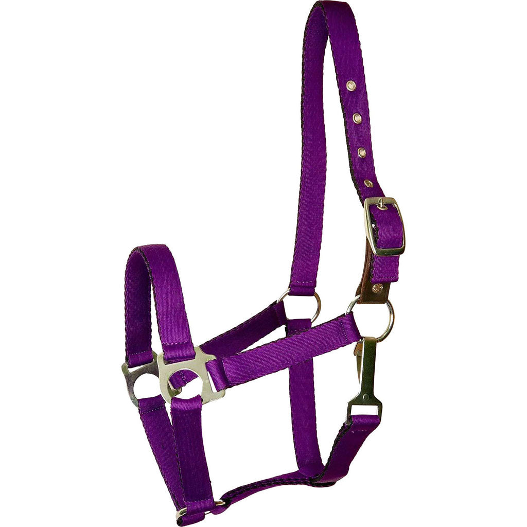 Gatsby Ultra Soft Nylon Safety Halter (PURPLE, HORSE)
