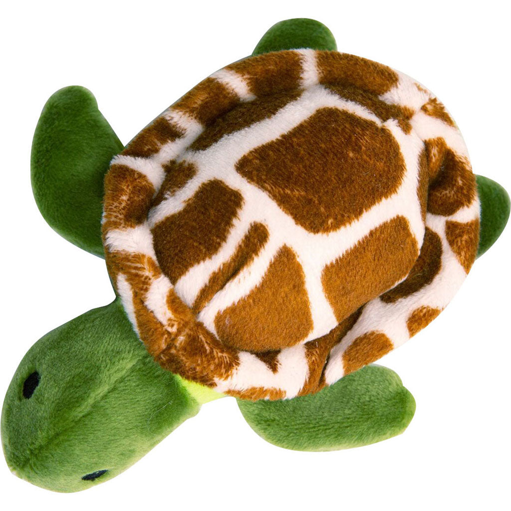 Snugarooz Shelldon The Turtle (GREEN, 5 IN)