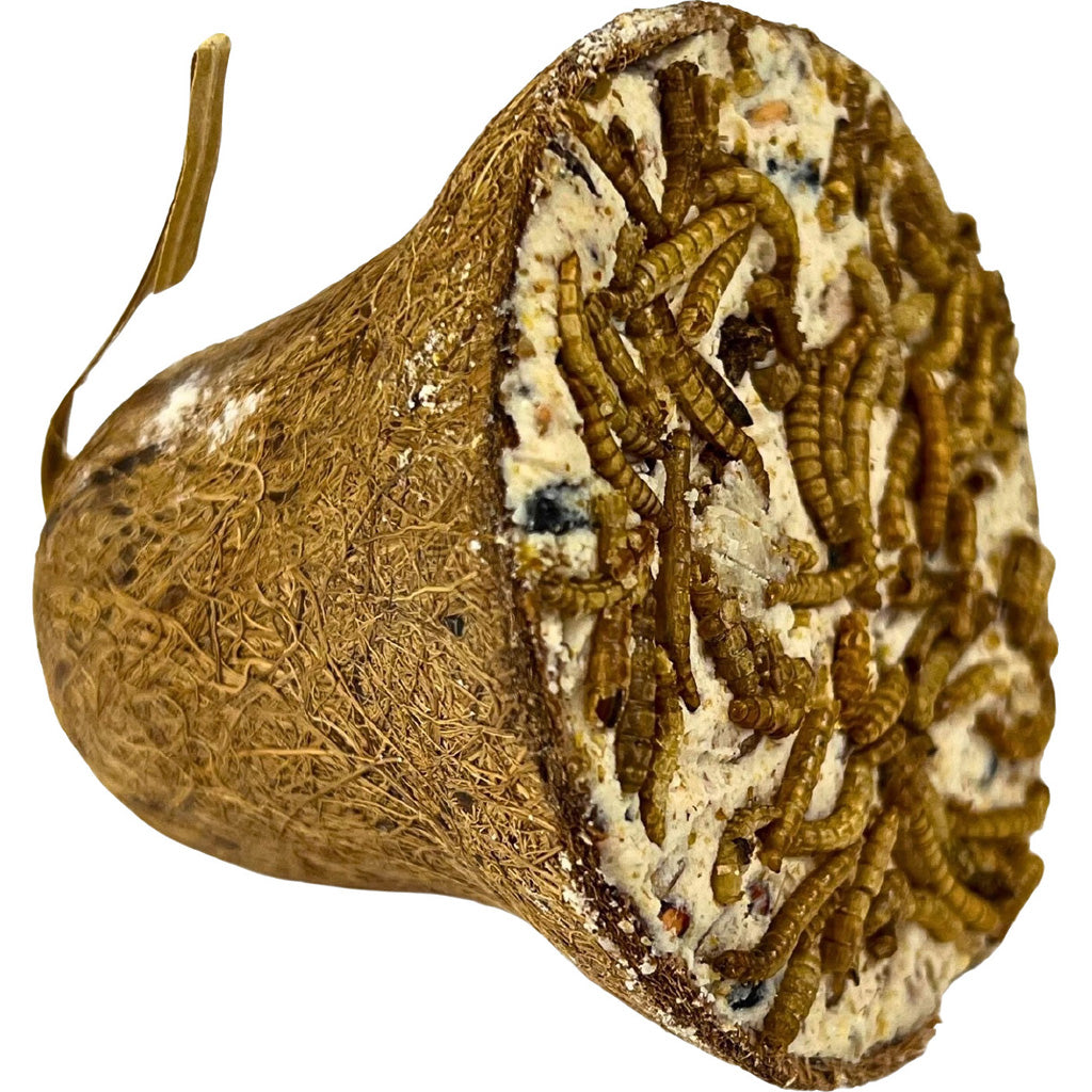 Garden & Fun Suet Bell (MEALWORM/NUTS)