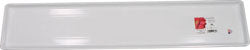 Countryside Flower Box Tray (WHITE, 36 IN)