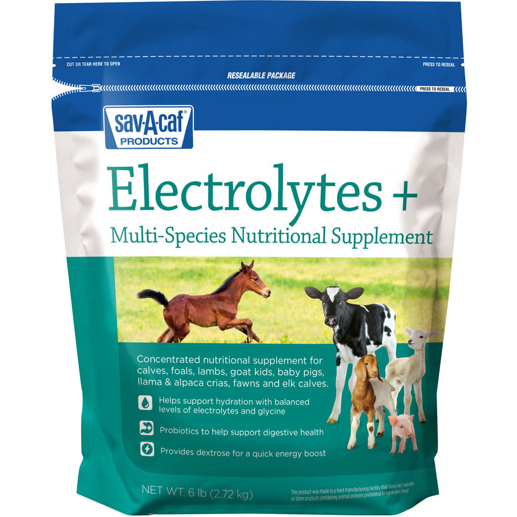 Electrolytes Plus Multi-Species Supplement (6 LB)