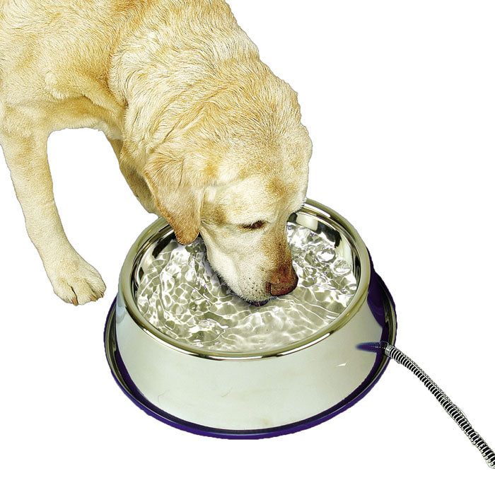 K&H Thermal Bowl Heated Pet Bowl (STAINLESS STEEL, 120 OZ)