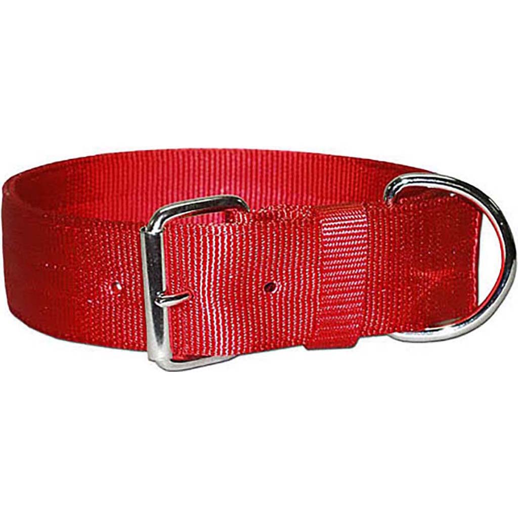 Bravo 2 Ply Nylon Dog Collar (RED, 2 X 27 IN)