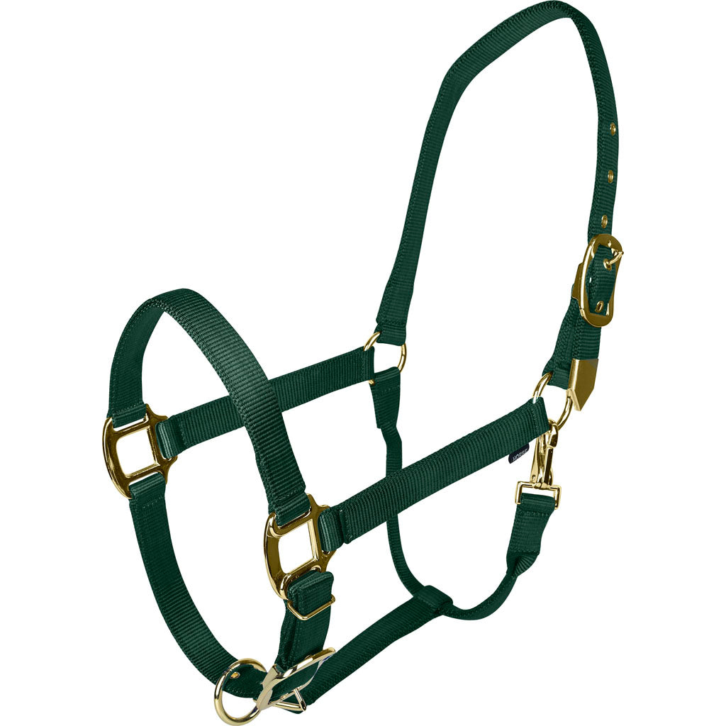Gatsby Gold Adjustable Halter W/ Snap (HUNTER GREEN, OVERSIZE)