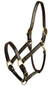 Gatsby Premium Adjustable Triple Stitched Halter (HAVANA, HORSE)