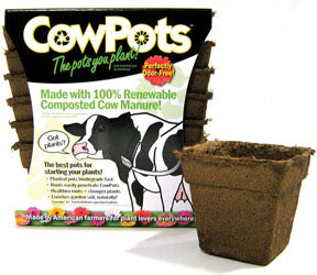 Cowpots (SQUARE, 4 IN-12 PK)