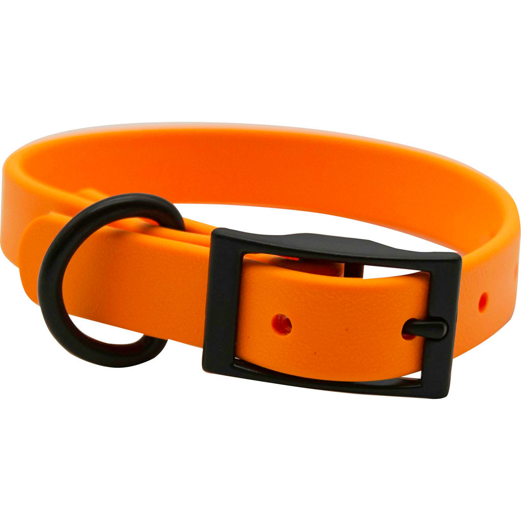 Zeta Biothane Dog Collar W/ Blk Hardware (ORANGE, 1 X 22 IN)