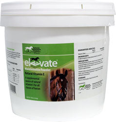 Elevate Maintenance Powder (10 LB)