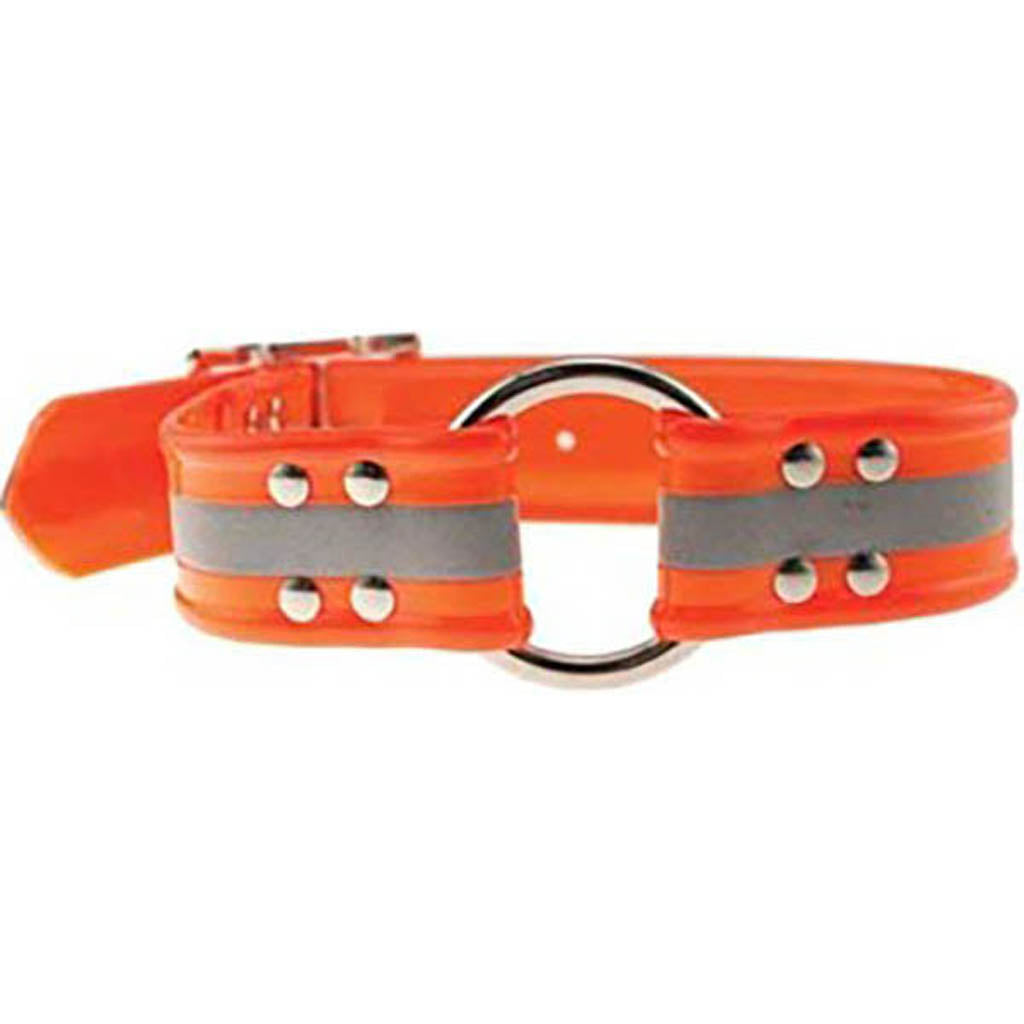 Sunglo Reflective Dog Collar (ORANGE, 1 X 23 IN) [048199]