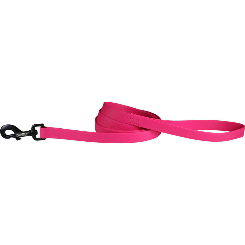 Carnival Biothane Dog Lead (RUBY, 3/4 IN X 6 FT)