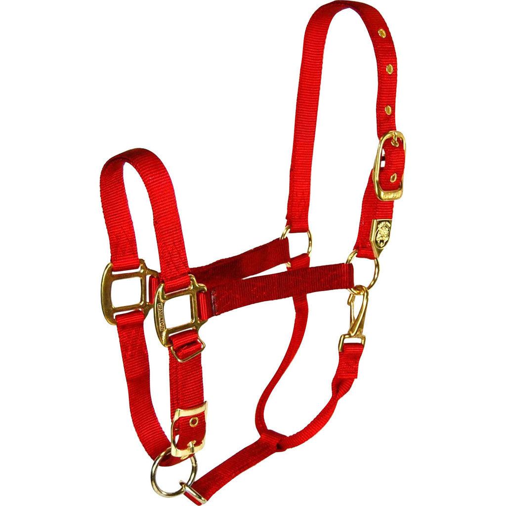 Hamilton Adjustable Chin Halter W/Snap (RED, SM)