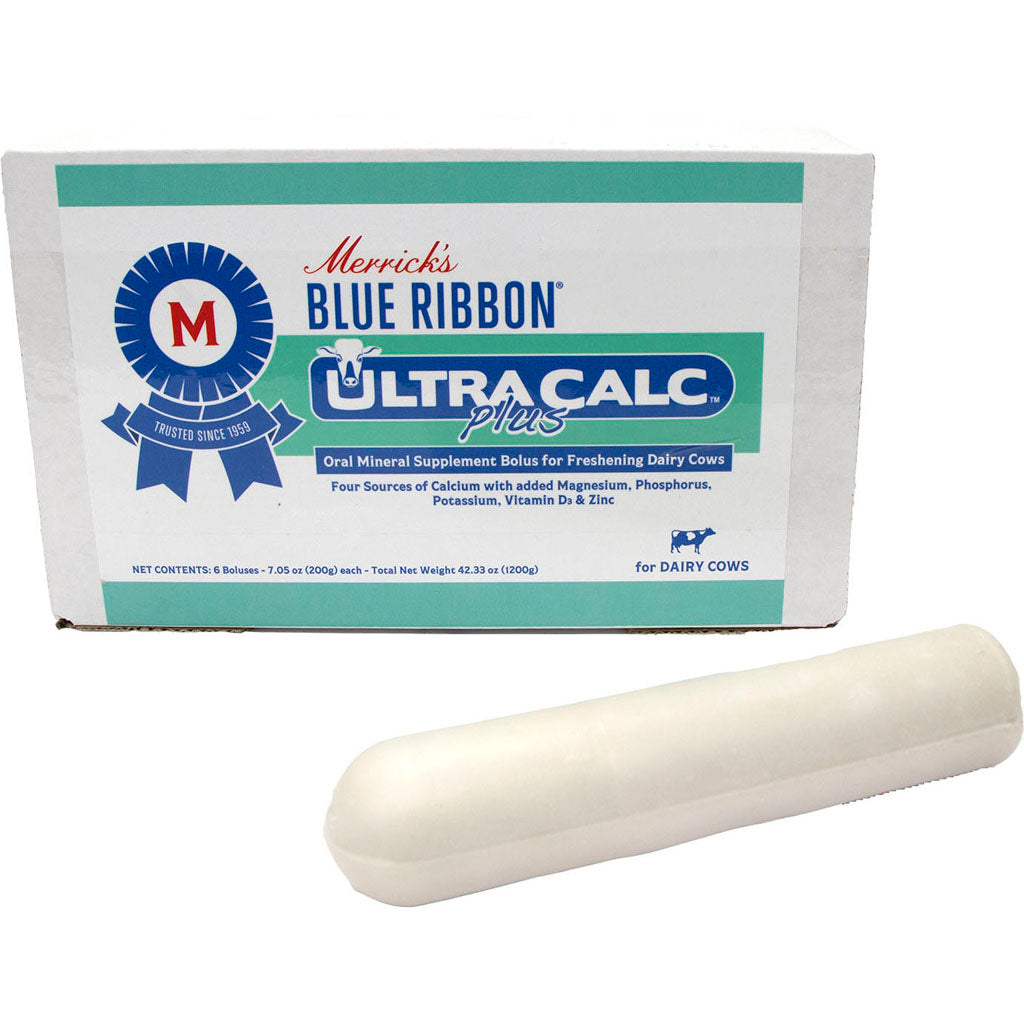 Ultra Calc Plus Bolus